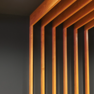 detalles_salon de actos